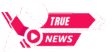 true-news-daily.com
